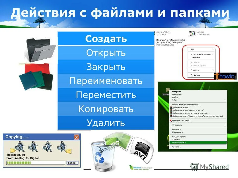 Папки и файлы
